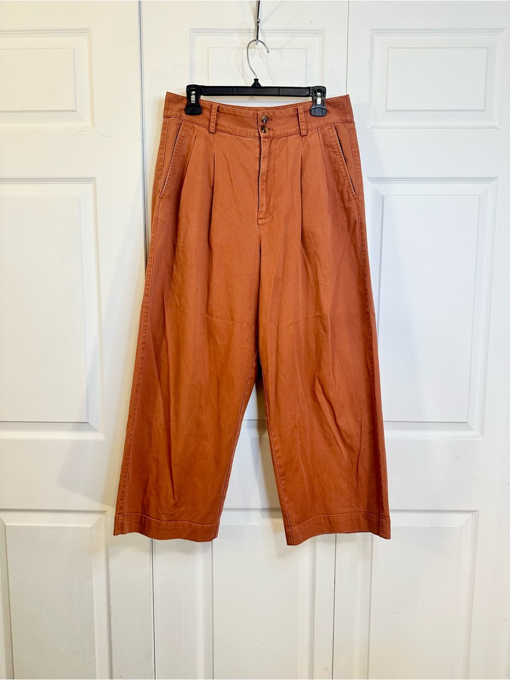 Madewell Wide-Leg Pleated Pants in Rust Orange
